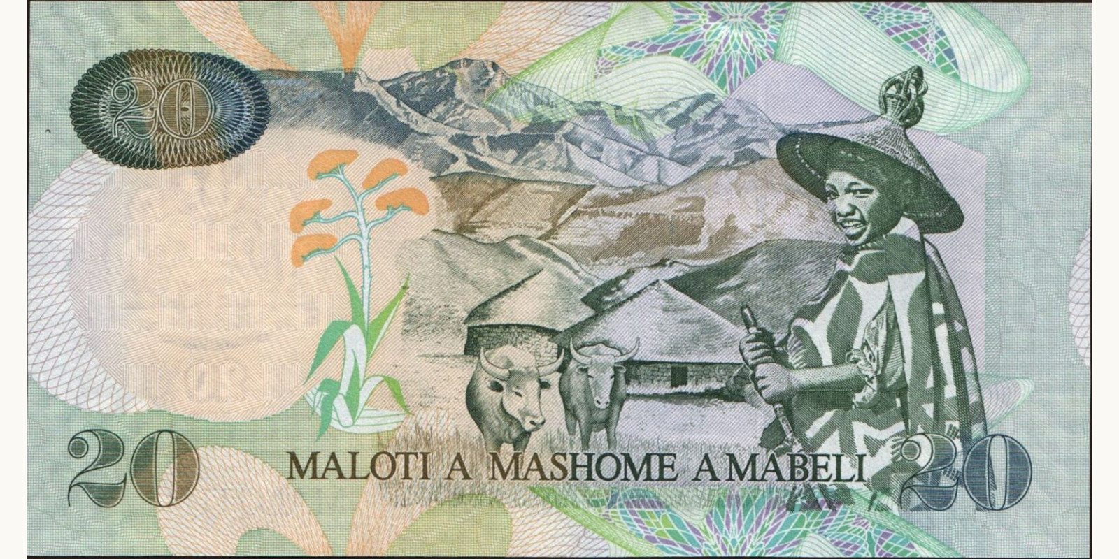 20 maloti Лесото 2009 — Оборотная сторона