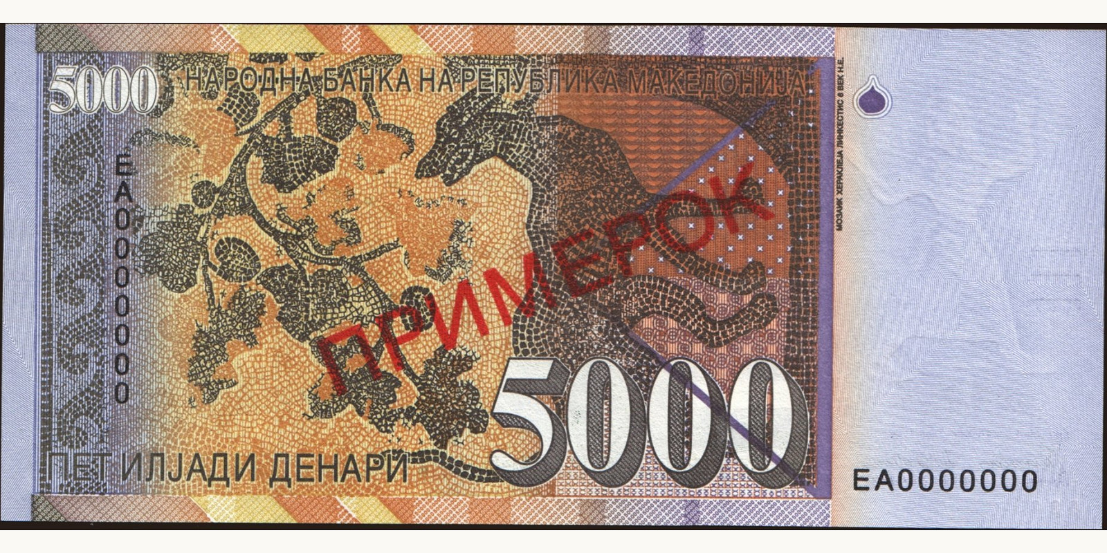 5000 denari Северная Македония 1996 — Оборотная сторона