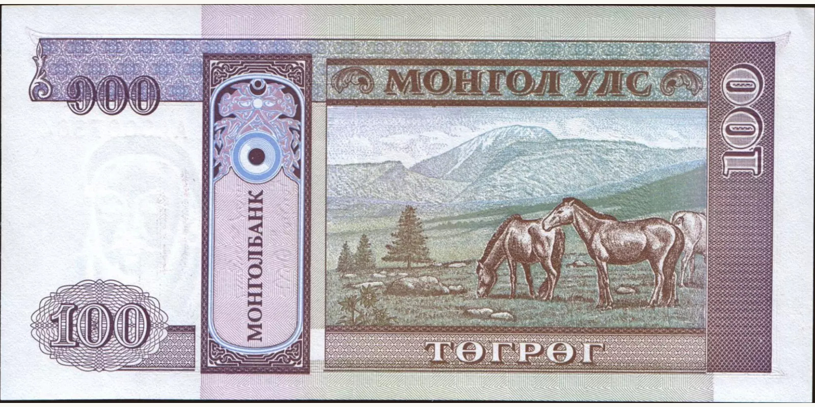 100 tugrik Mongolia 1993 — Back side