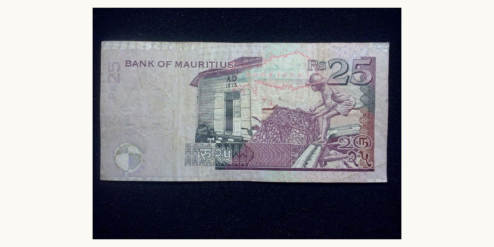 25 rupees Маврикий 2003 — Оборотная сторона