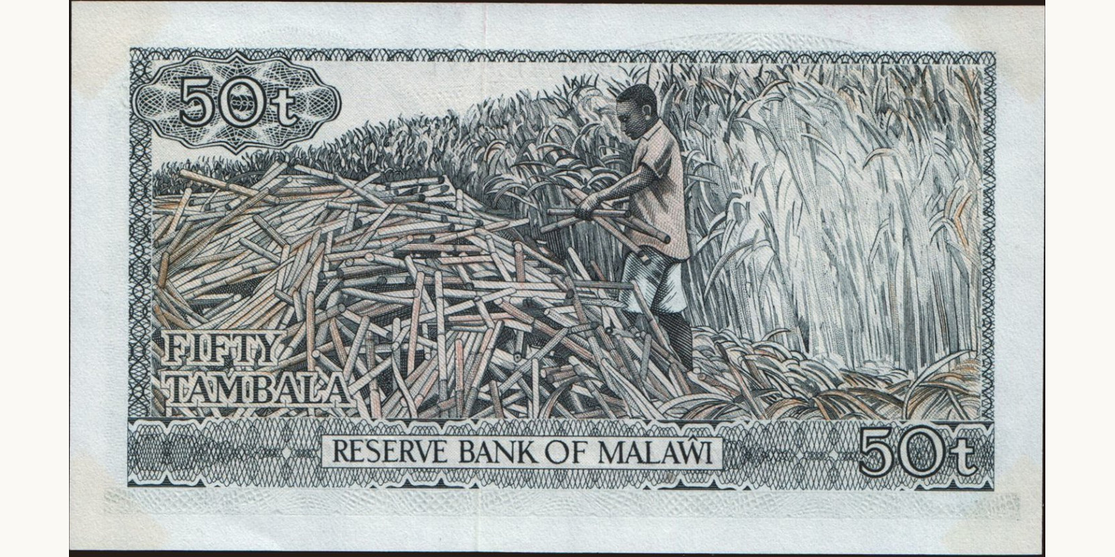 50 tambala Malawi 1975 — Back side