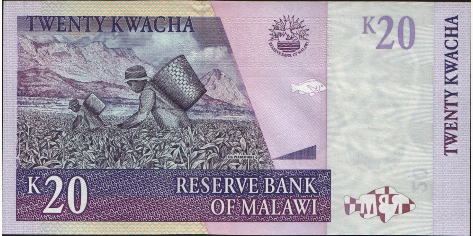 20 kwacha Малави 2009 — Оборотная сторона