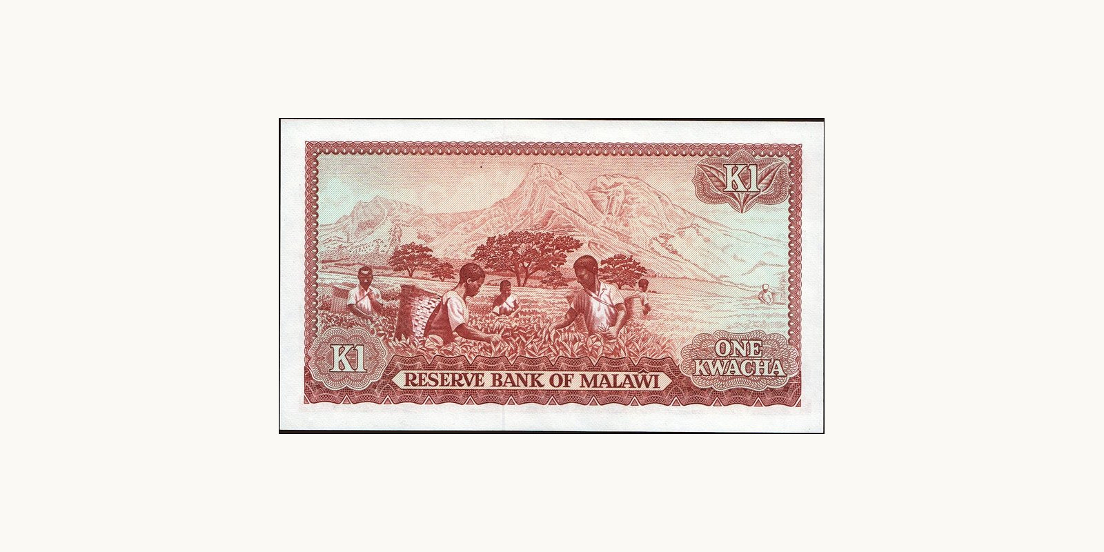 1 kwacha Малави 1982 — Оборотная сторона