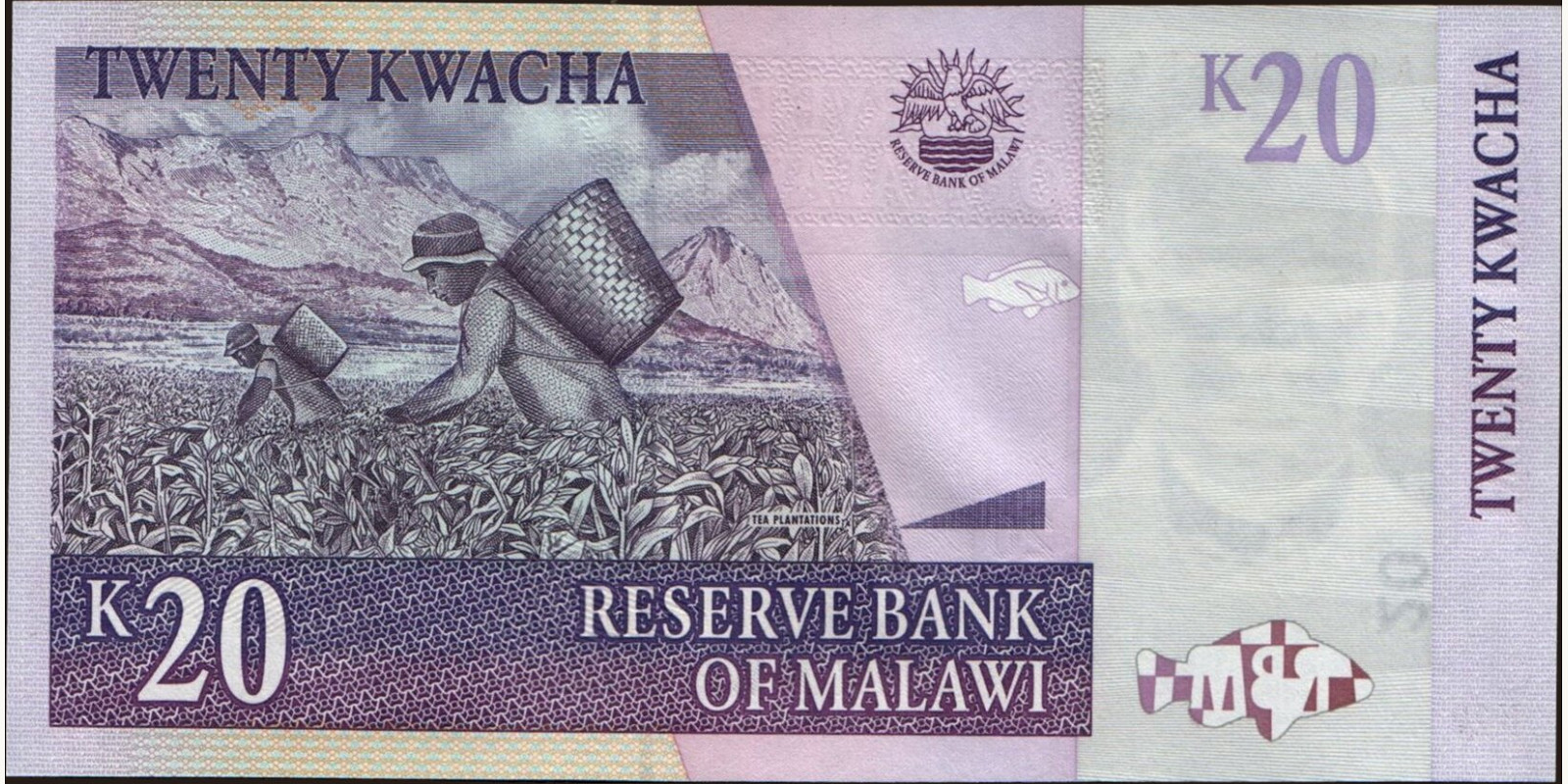 20 kwacha Малави 2004 — Оборотная сторона