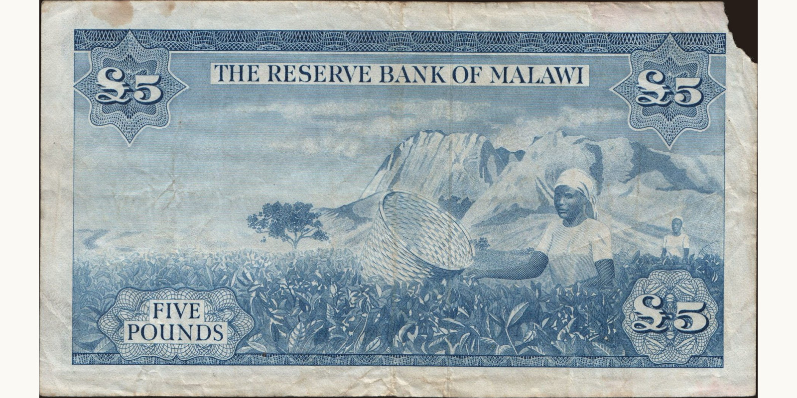 5 shillings Малави 1964 — Оборотная сторона