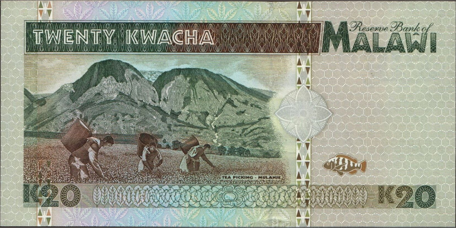 20 kwacha Малави 1995 — Оборотная сторона