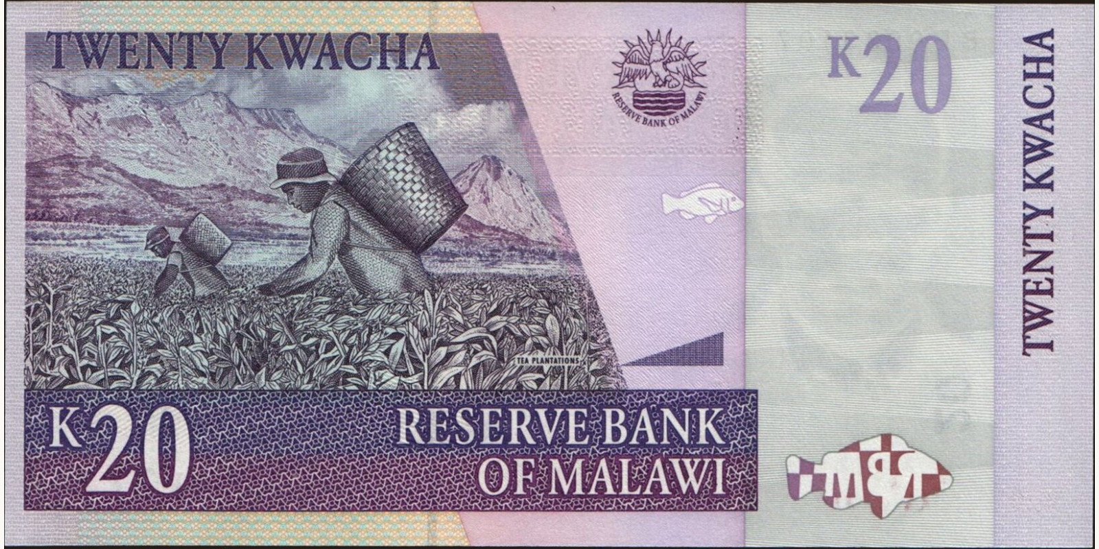 20 kwacha Малави 2007 — Оборотная сторона