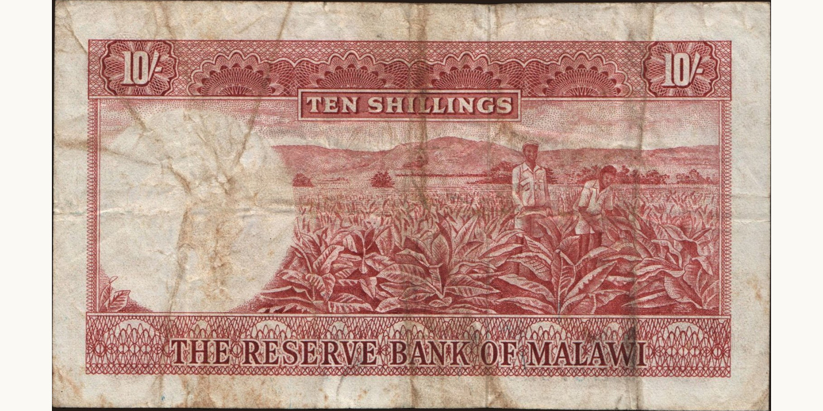 10 shillings Малави 1964 — Оборотная сторона