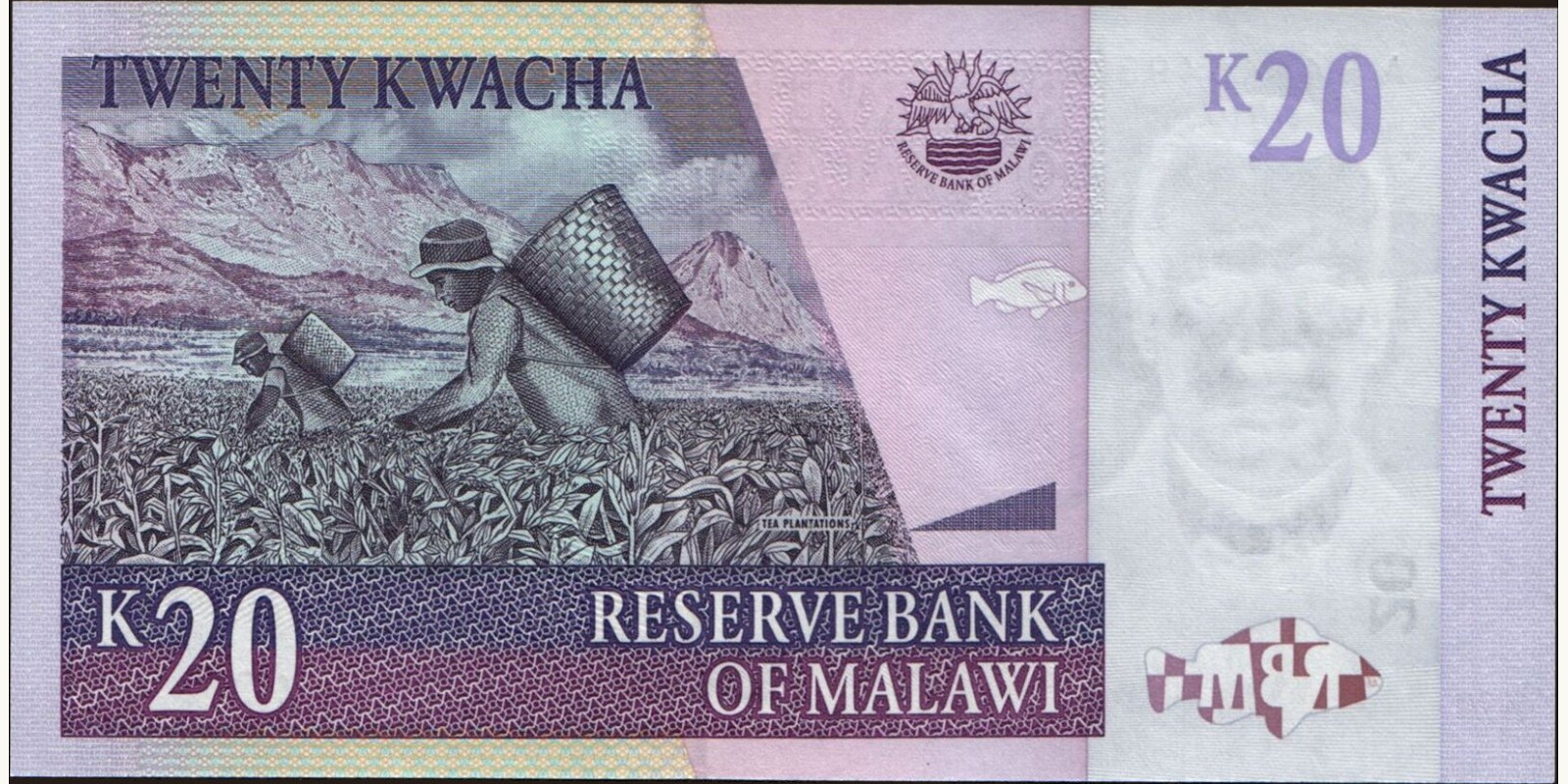 20 kwacha Малави 2001 — Оборотная сторона