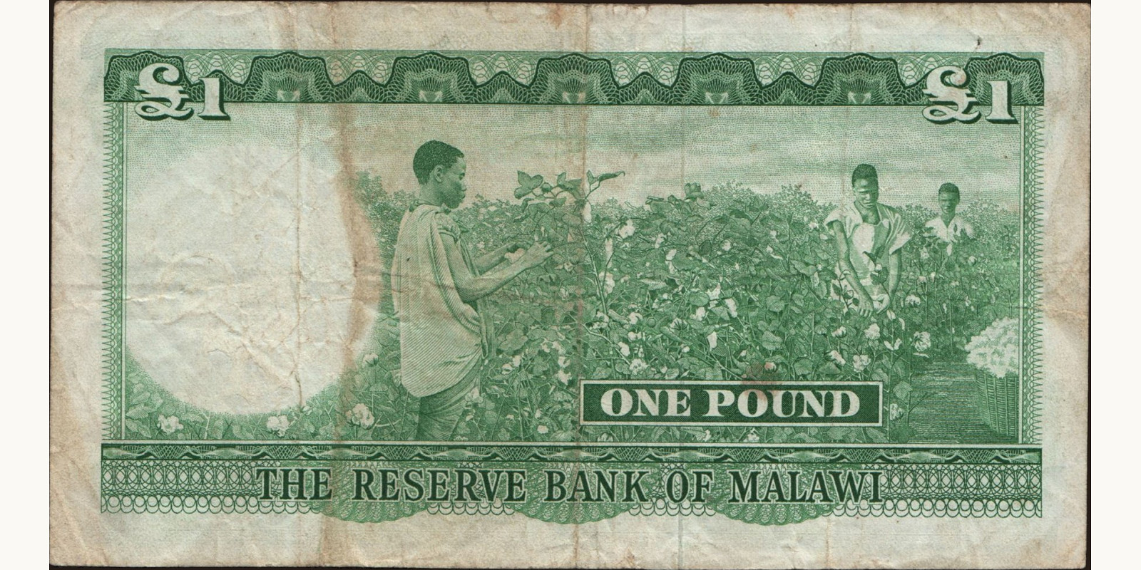 1 pound Малави 1964 — Оборотная сторона