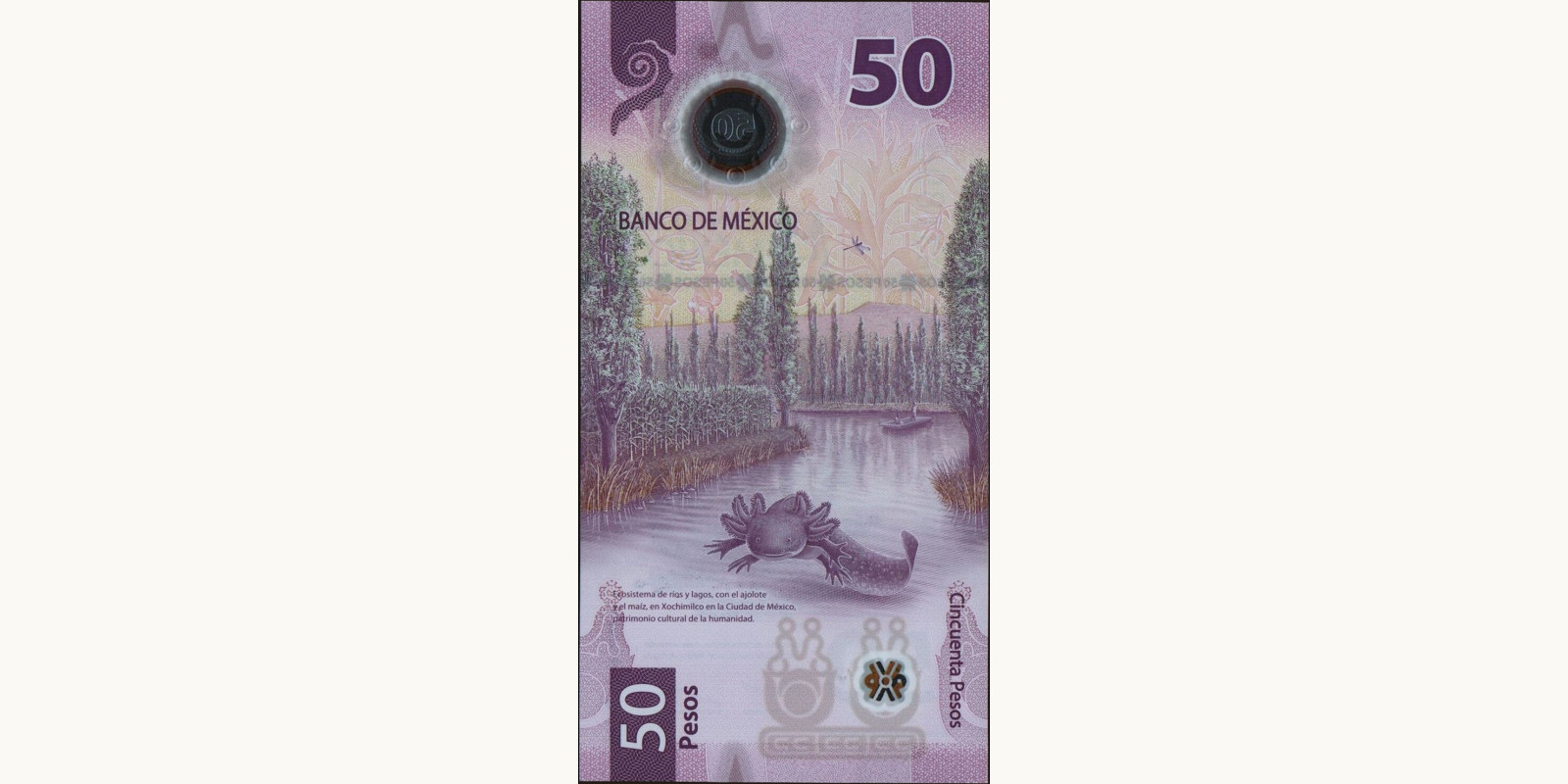 50 pesos Mexico 2021 — Back side