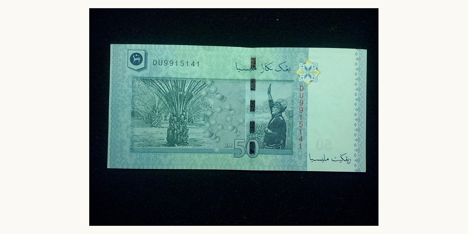 50 ringgit Malaysia 2009 — Back side