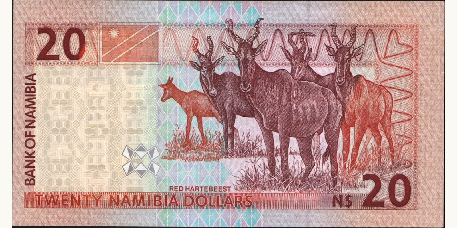 20 dollars Намибия 1996 — Оборотная сторона