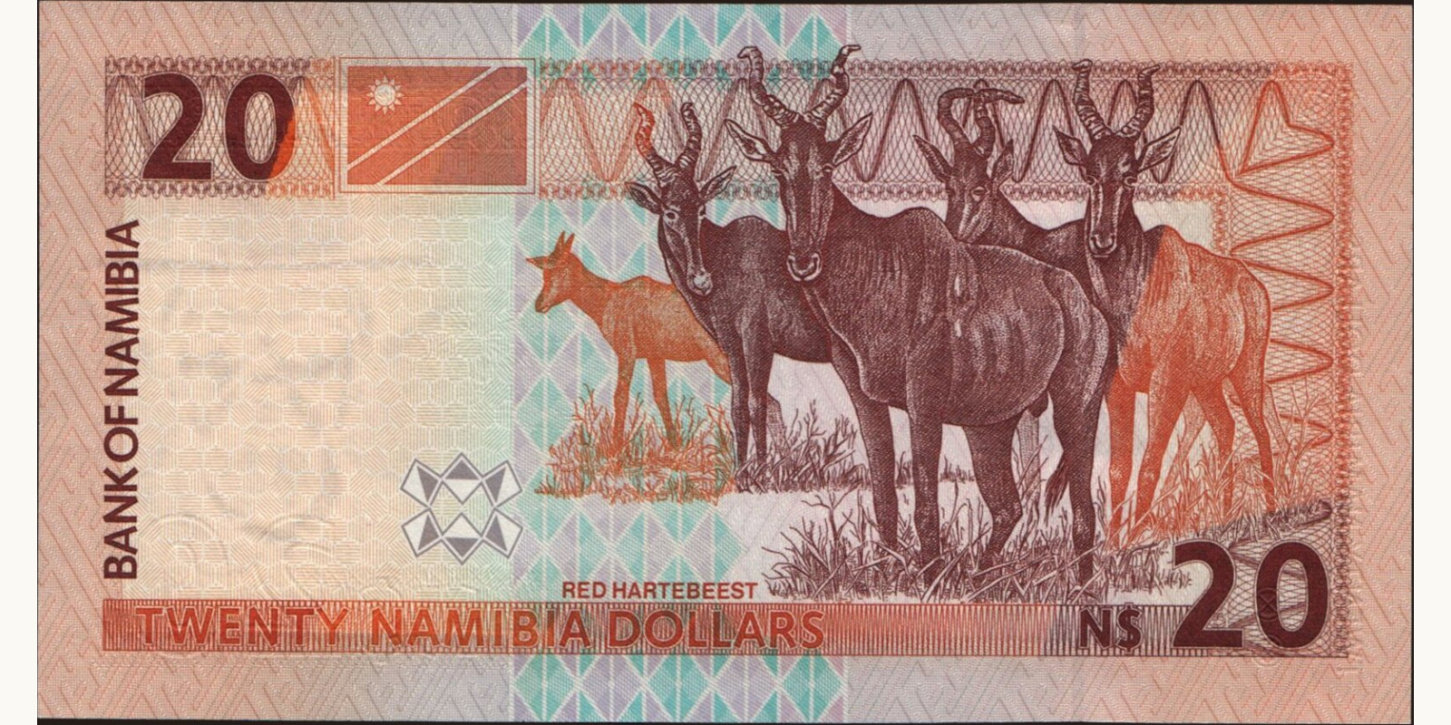 20 dollars Намибия 2002 — Оборотная сторона