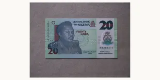20 naira 2024