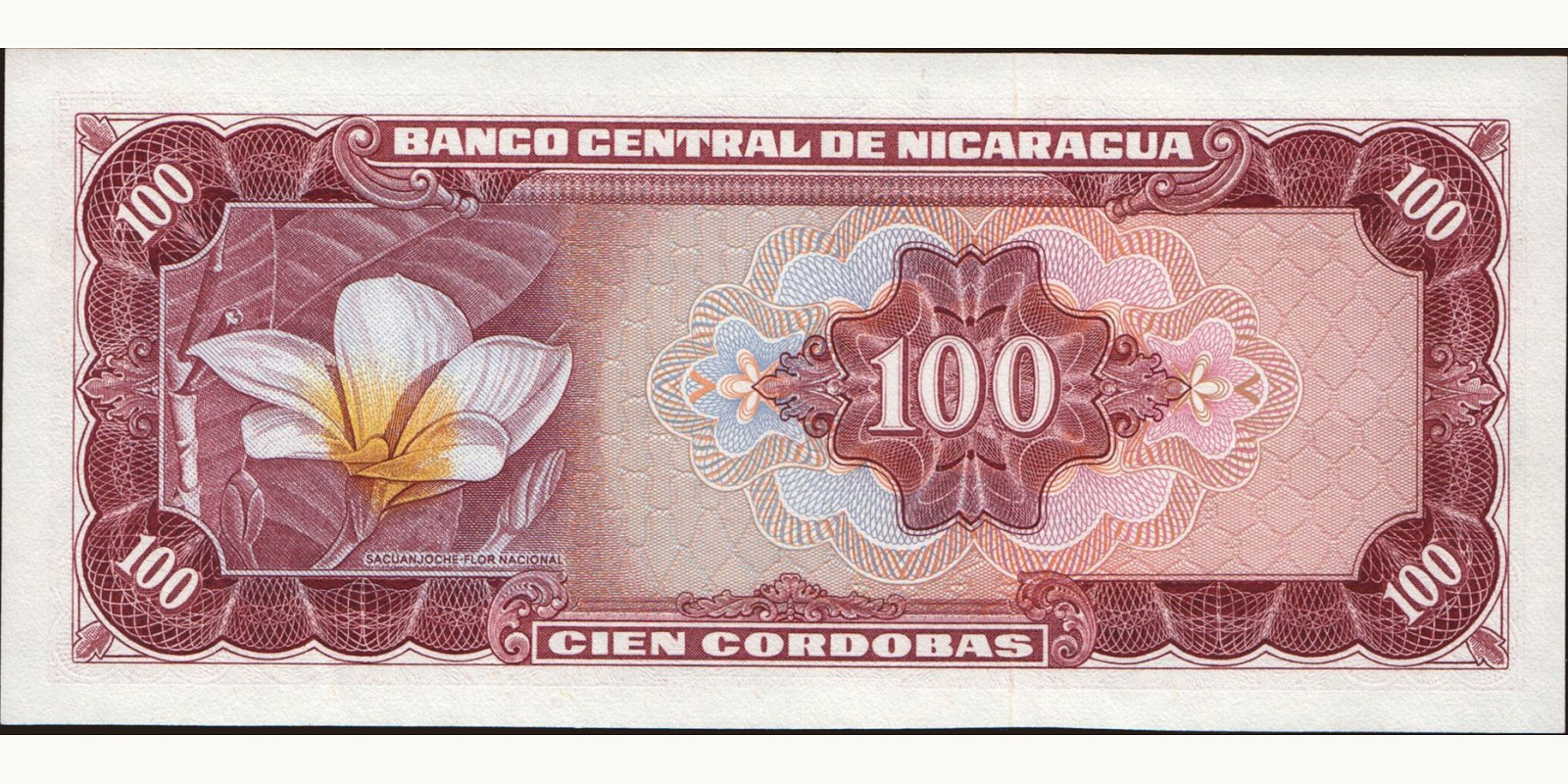 100 cordobas Никарагуа 1972 — Оборотная сторона