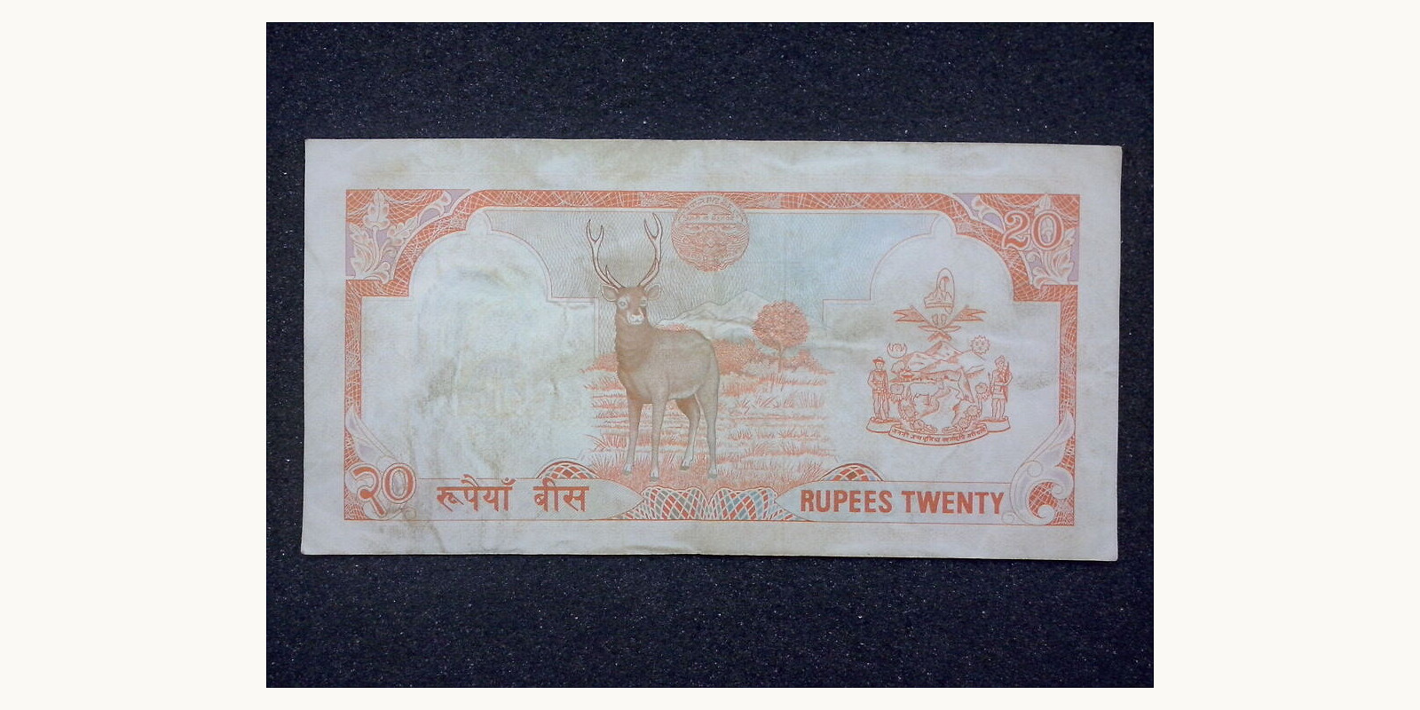 20 rupees 1982