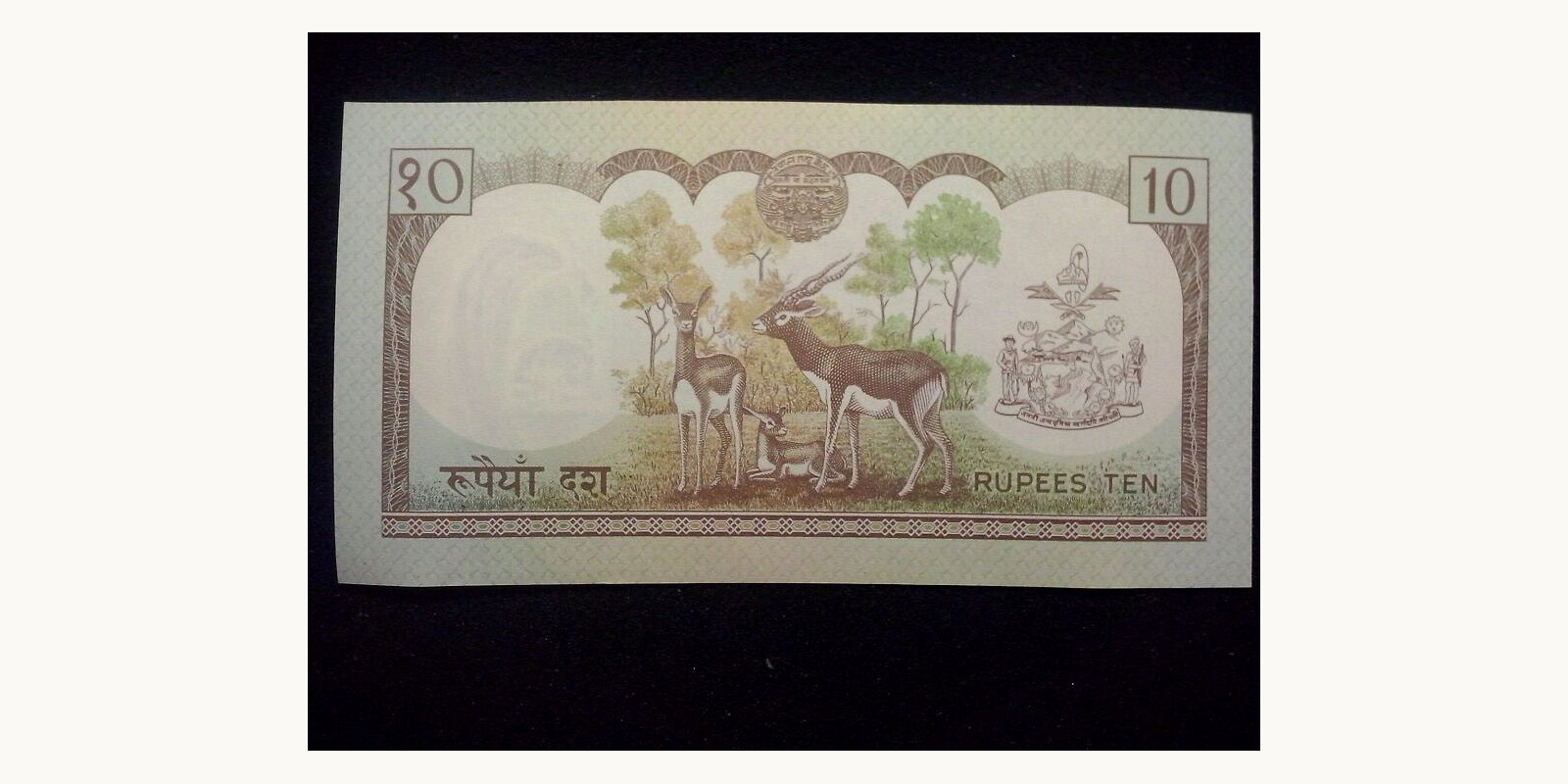 10 rupees 1985