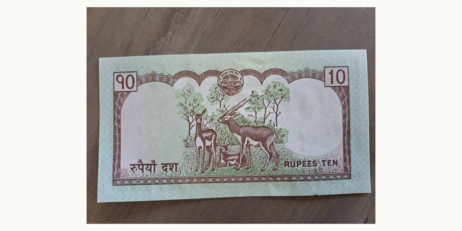 10 rupees Непал 2010 — Лицевая сторона