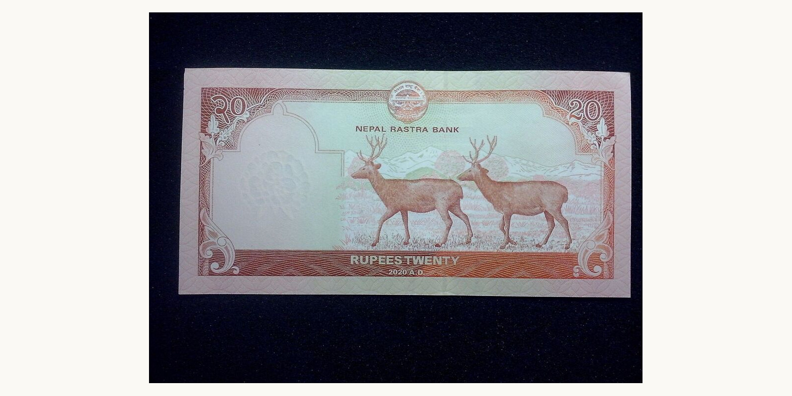 20 rupees 2020