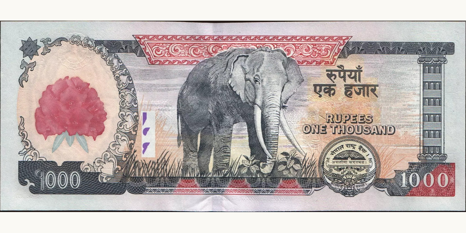 1000 rupees Непал 2008 — Оборотная сторона