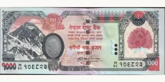 1000 rupees 2008