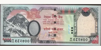 1000 rupees 2010