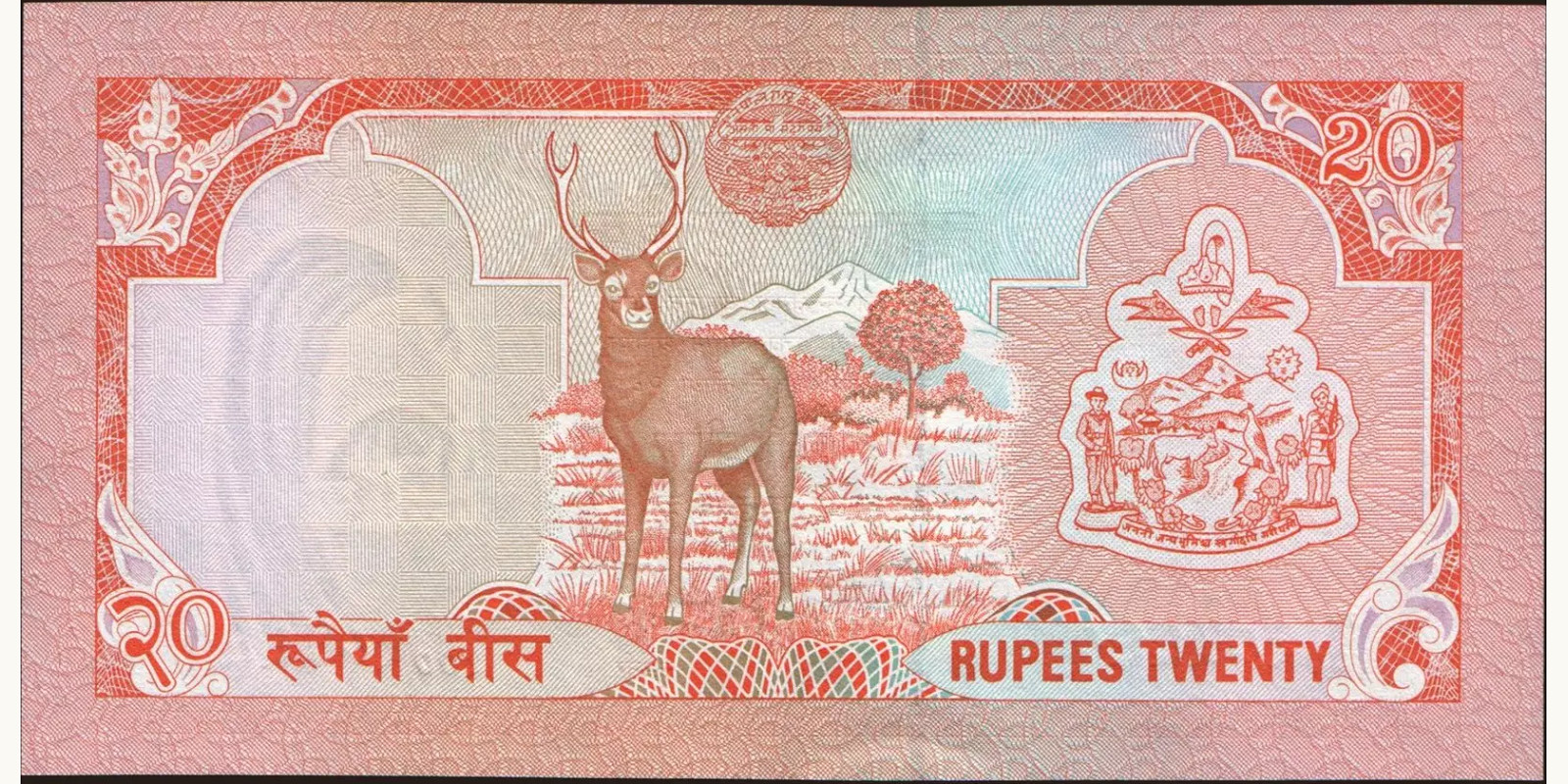 20 rupees Непал 1988 — Оборотная сторона
