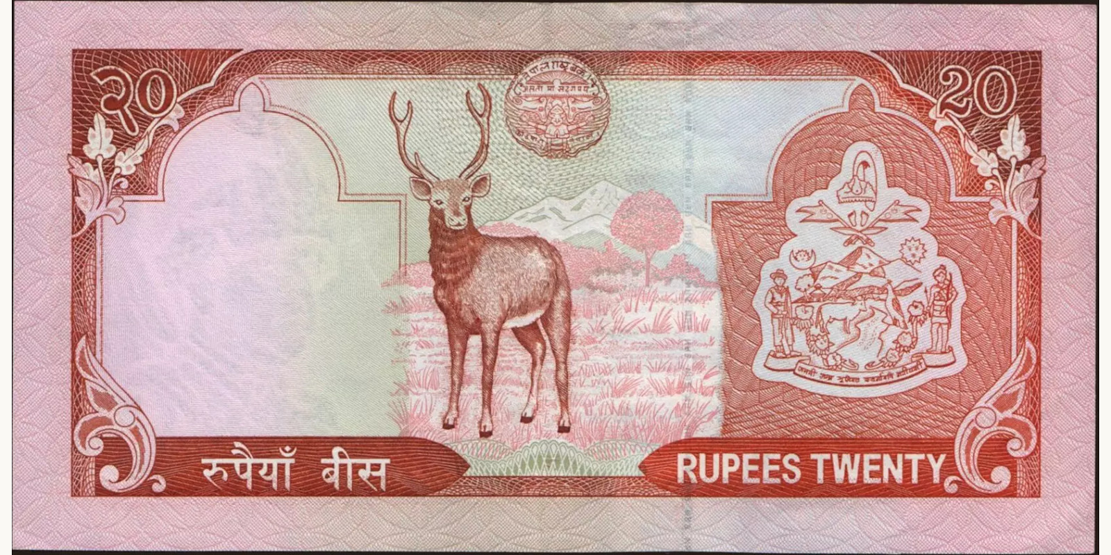 20 rupees Непал 2002 — Оборотная сторона