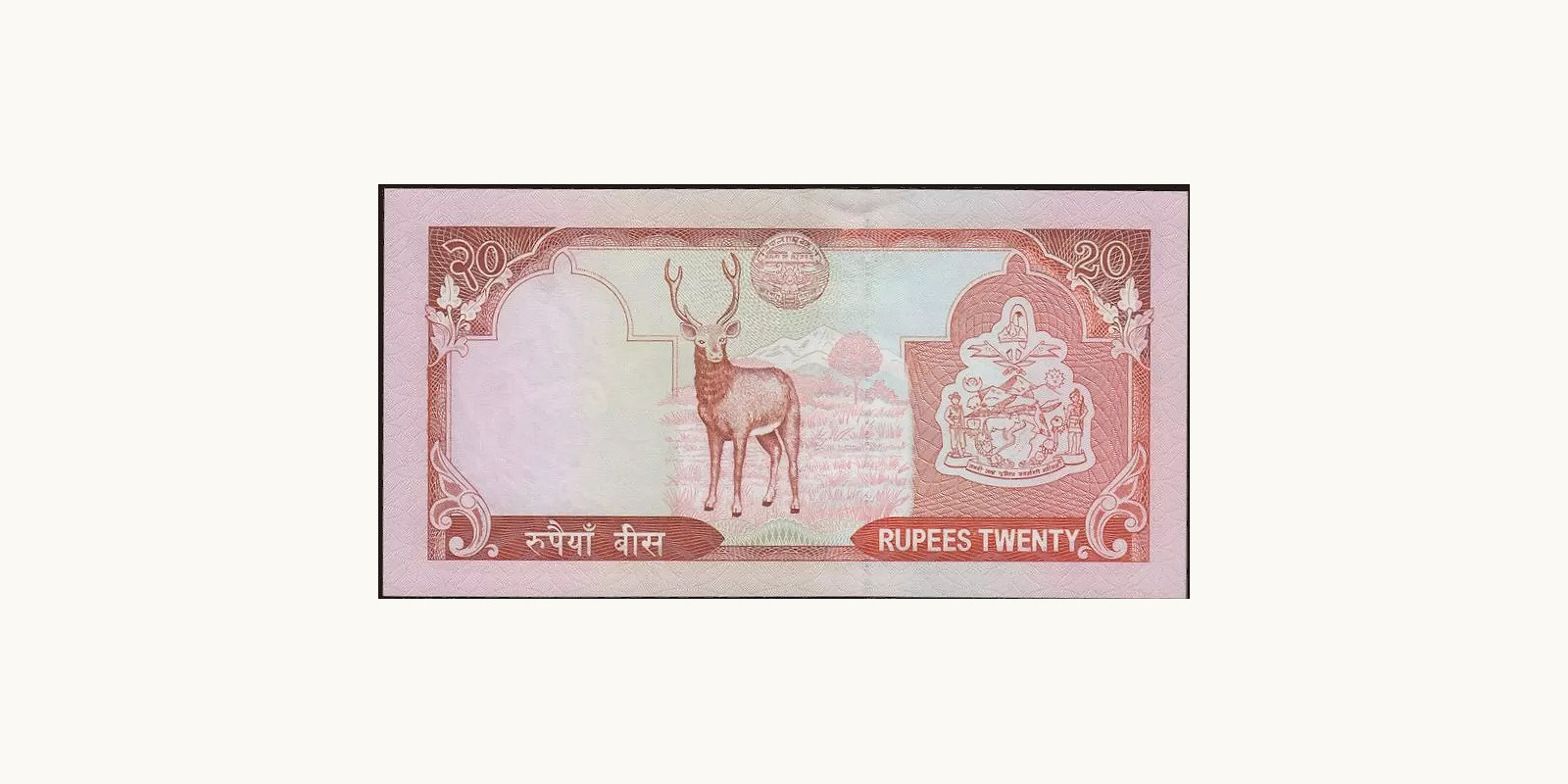 20 rupees Непал 2005 — Оборотная сторона