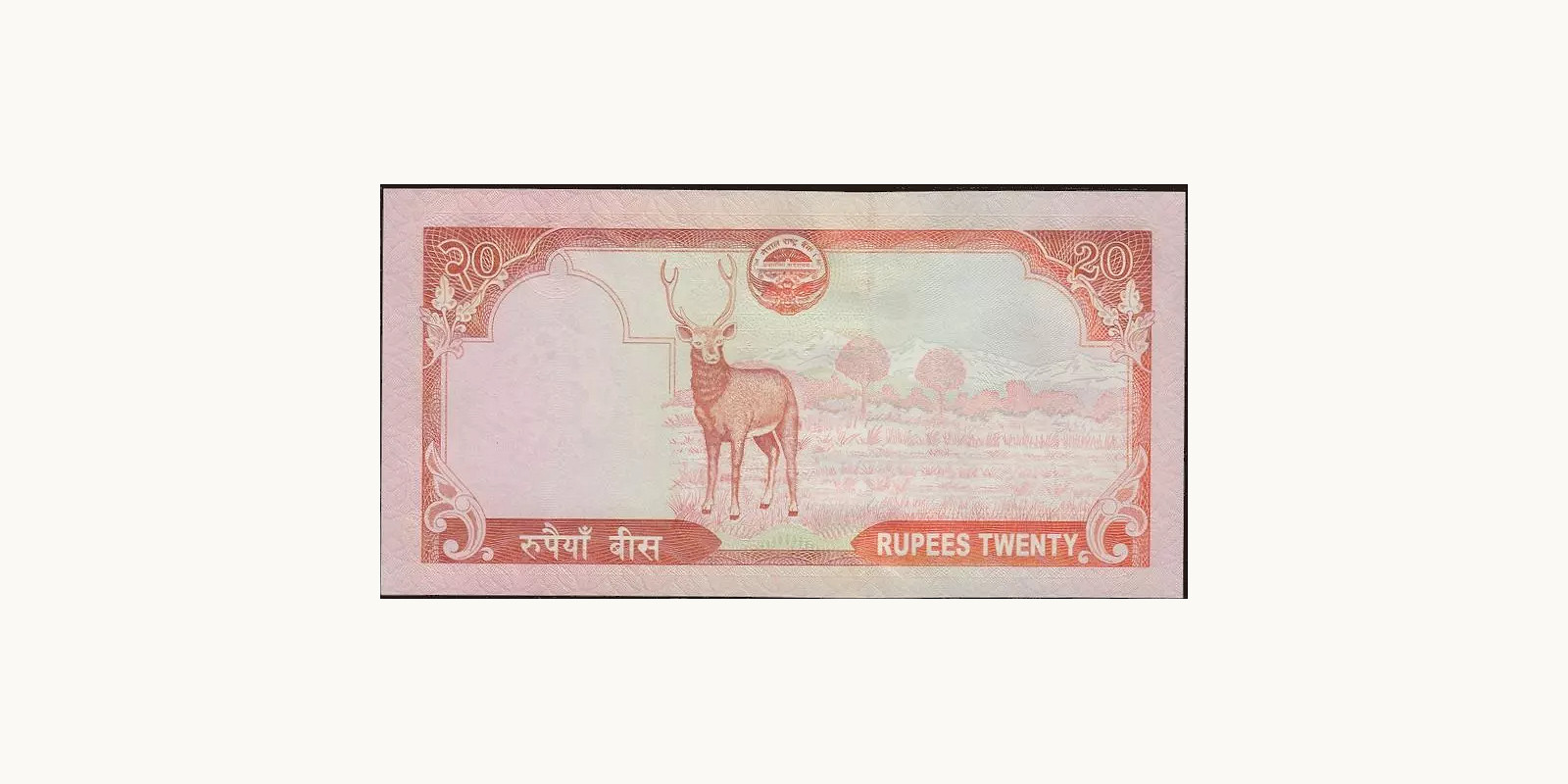 20 rupees Nepal 2008 — Back side