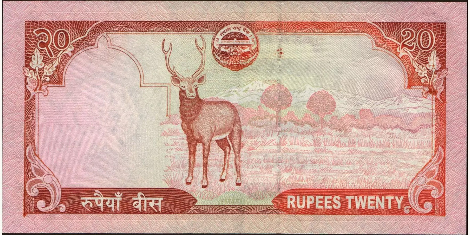 20 rupees Непал 2010 — Оборотная сторона