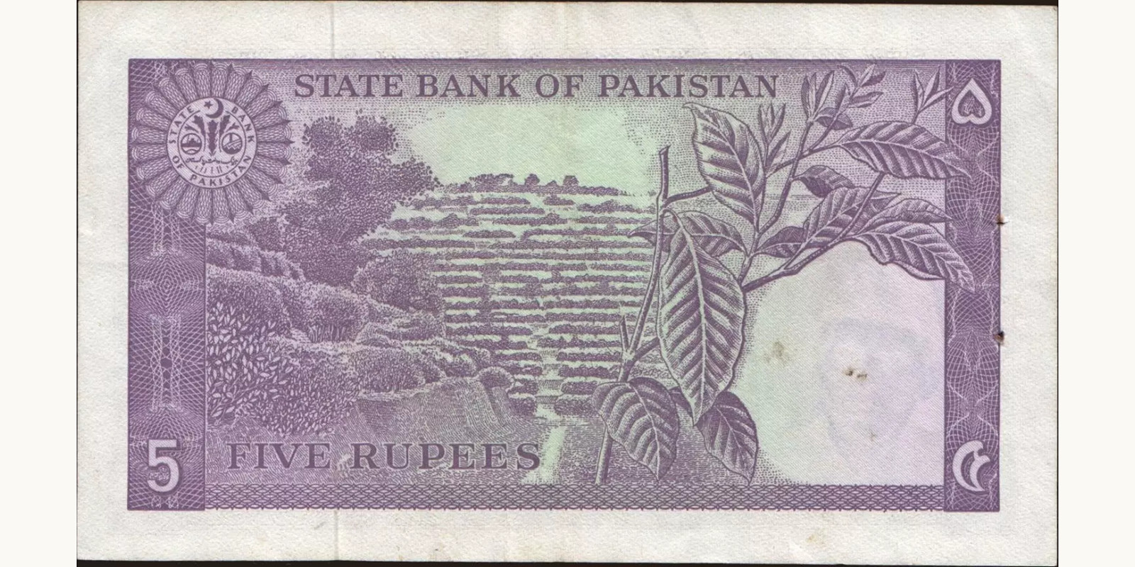 5 rupees Пакистан 1966 — Оборотная сторона