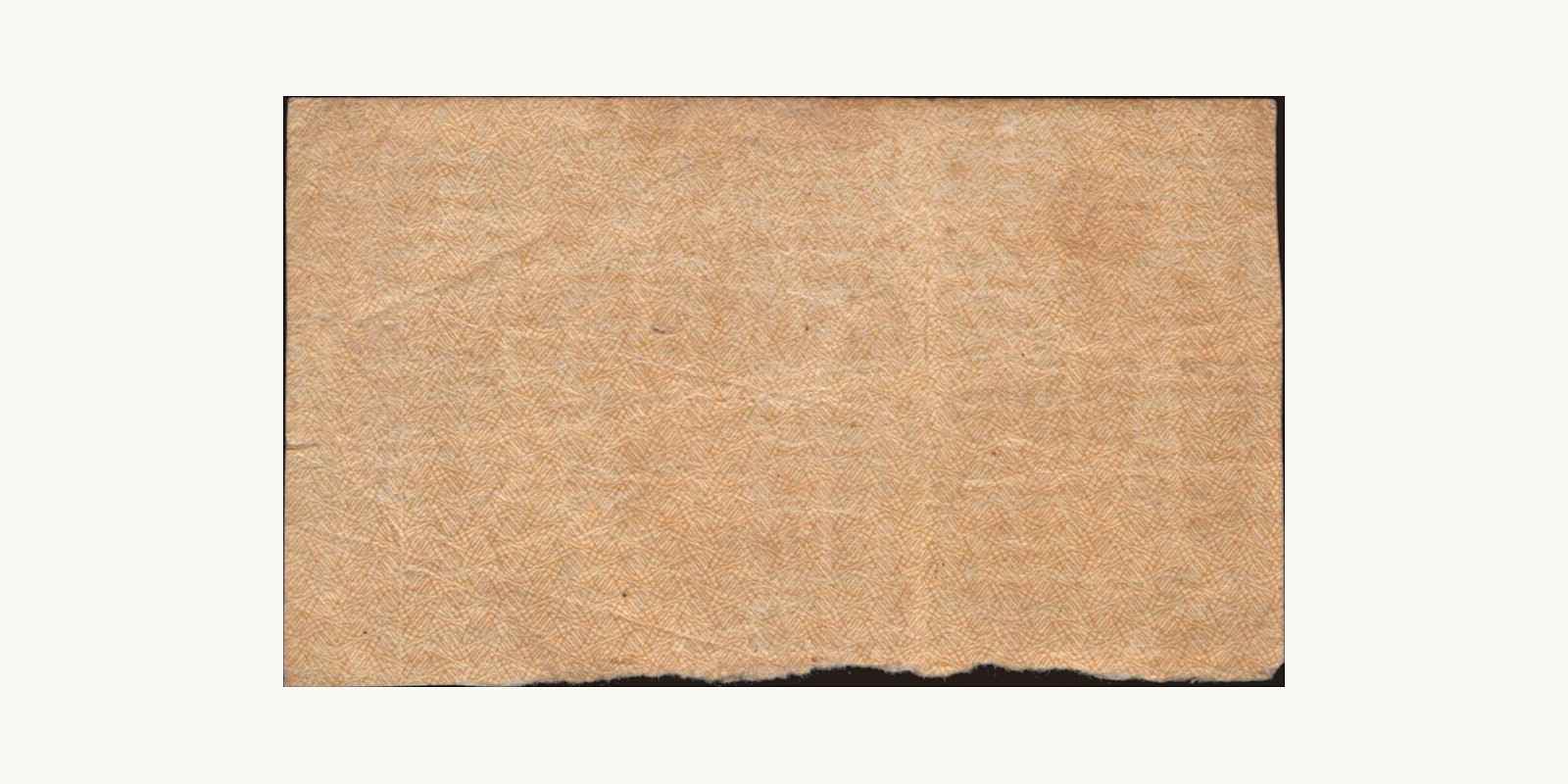 100 rubles Россия 1921 — Оборотная сторона