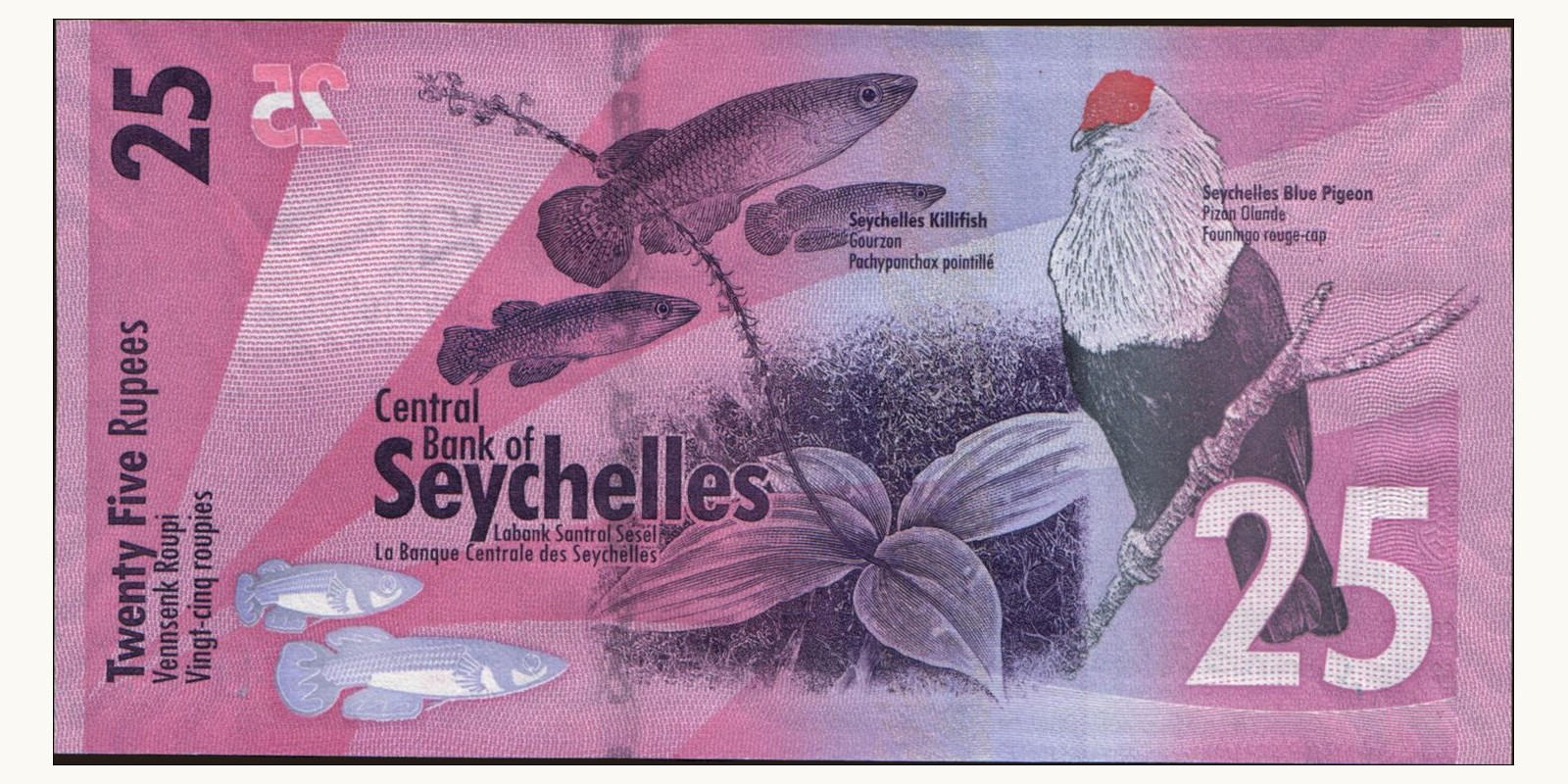 25 rupees Seychelles 2016 — Back side