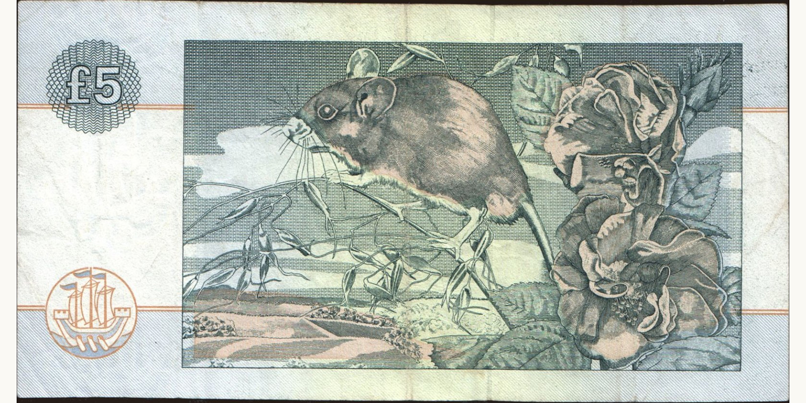 5 pounds Scotland 1994 — Back side