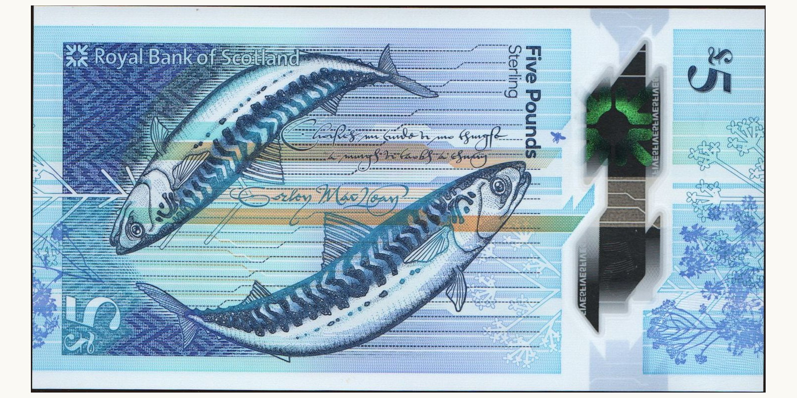 5 pounds Шотландия 2016 — Оборотная сторона