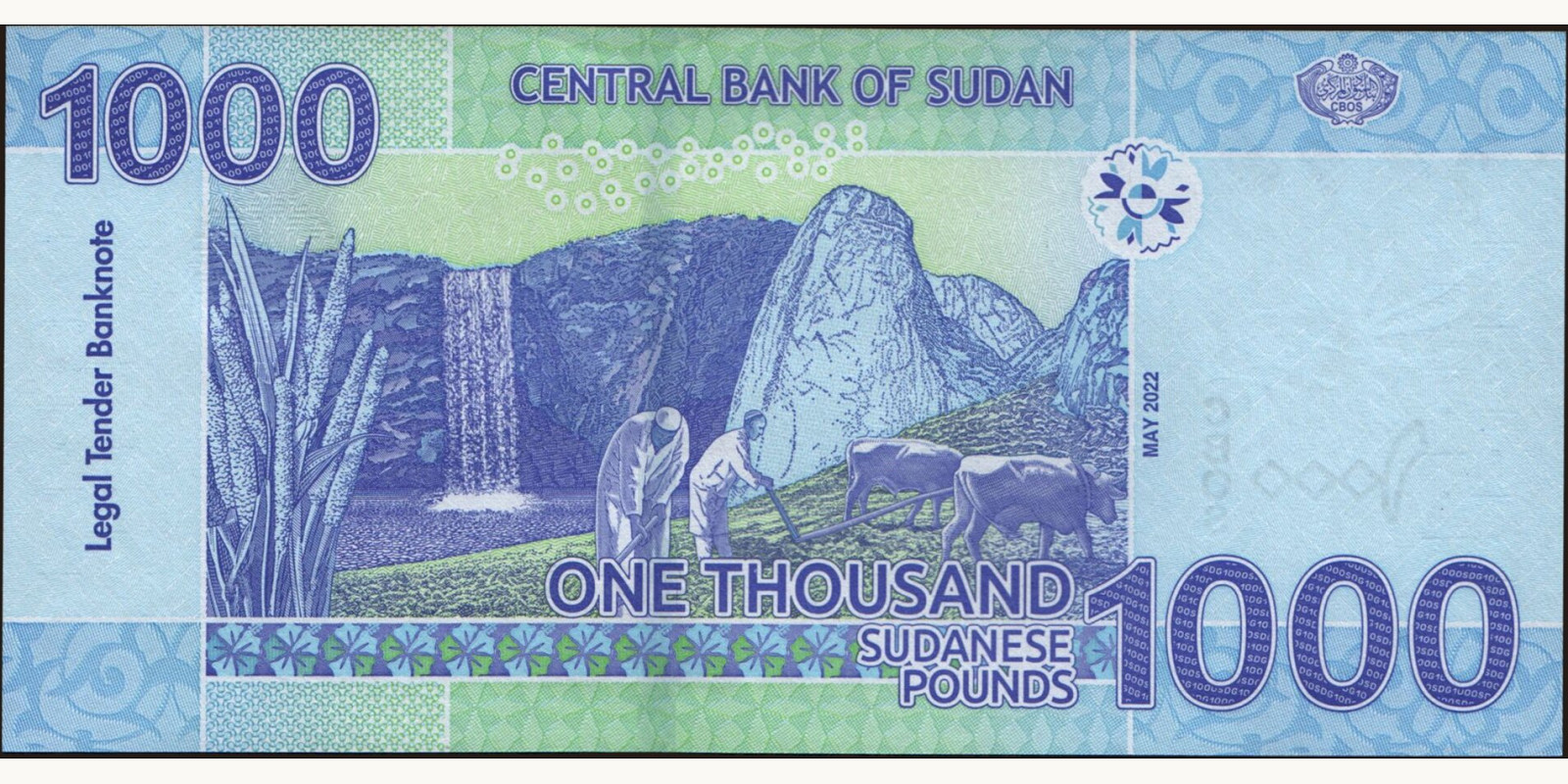 1000 pounds Sudan 2022 — Back side