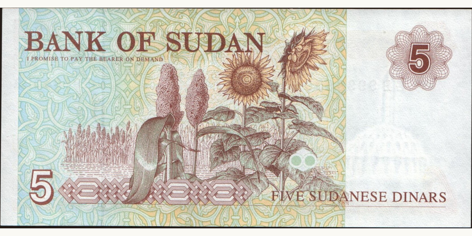 5 dinars Sudan 1993 — Back side