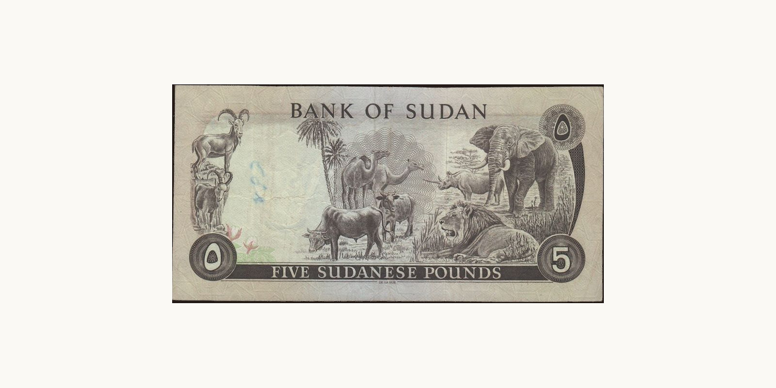 5 pounds Судан 1975 — Оборотная сторона