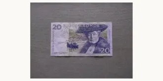 20 krona 2008