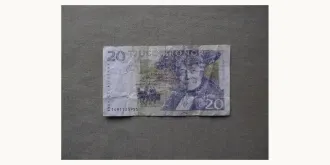 20 krona 2001