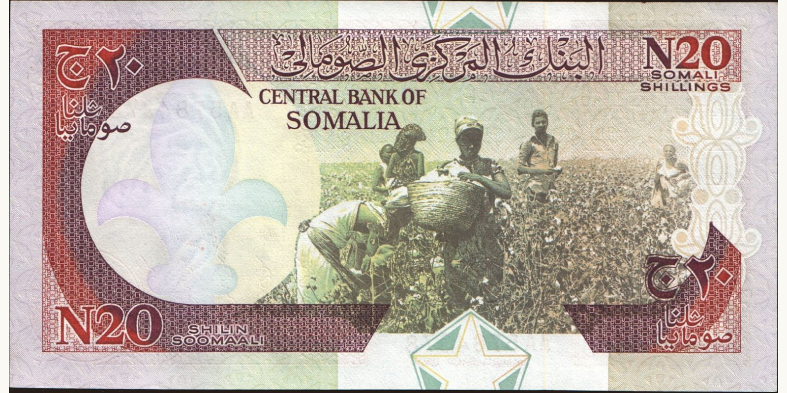 20 shilin Сомали 1991 — Оборотная сторона