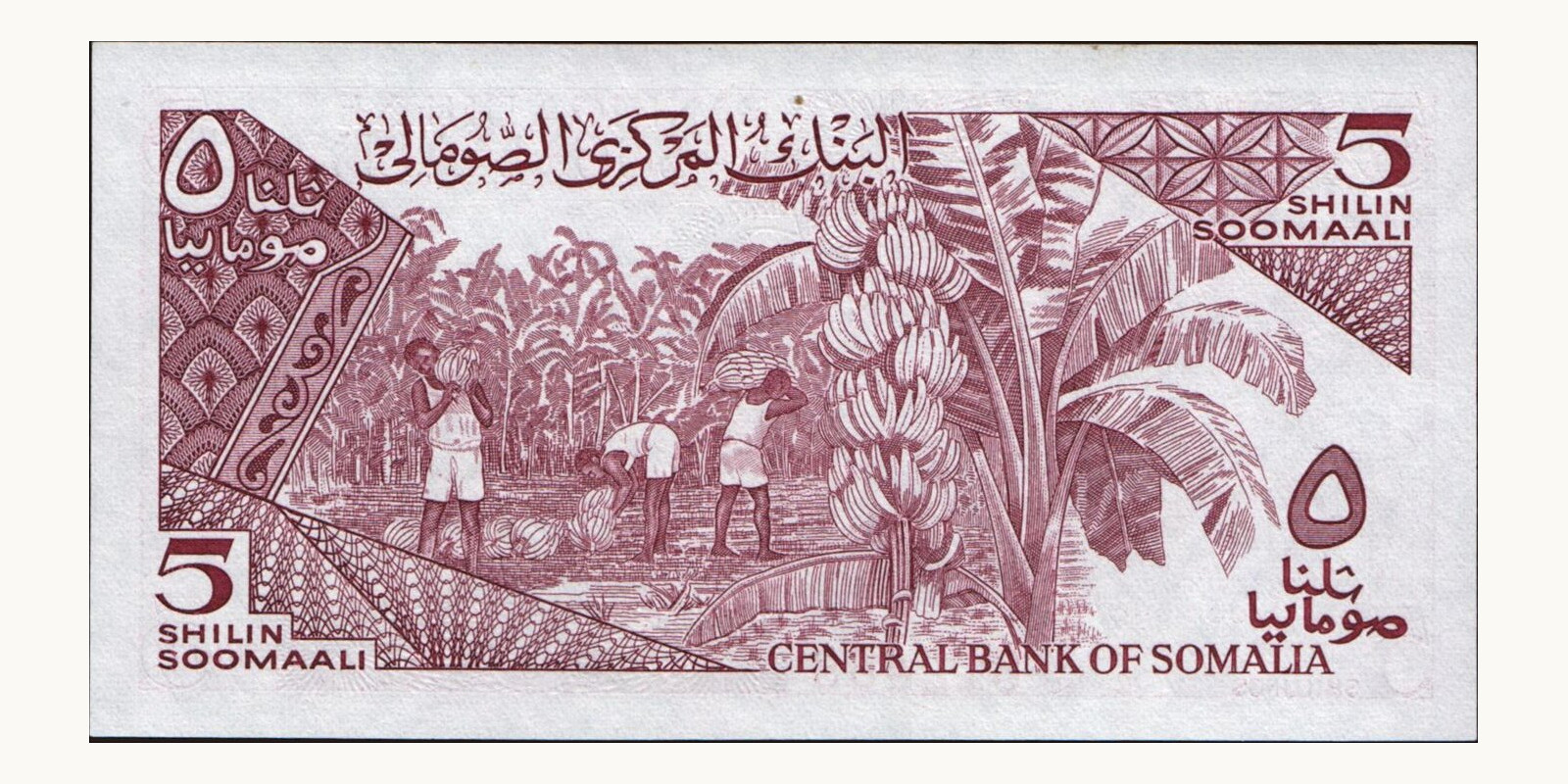 5 shilin Сомали 1983 — Оборотная сторона