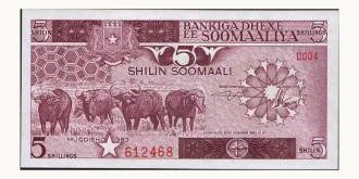 5 shilin 1983