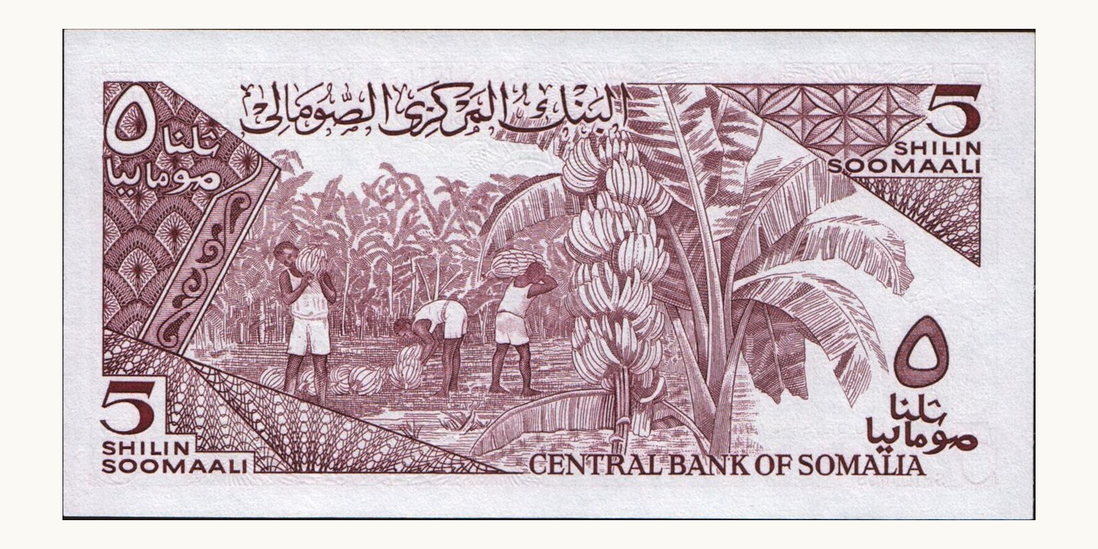 5 shilin Somalia 1986 — Back side