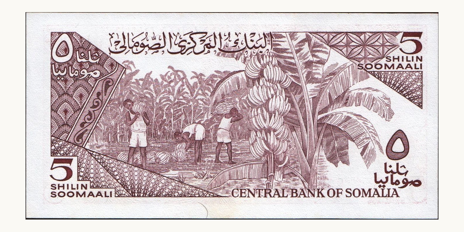 5 shilin Somalia 1987 — Back side