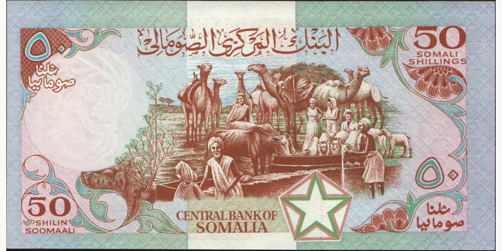 50 shilin Somalia 1983 — Back side