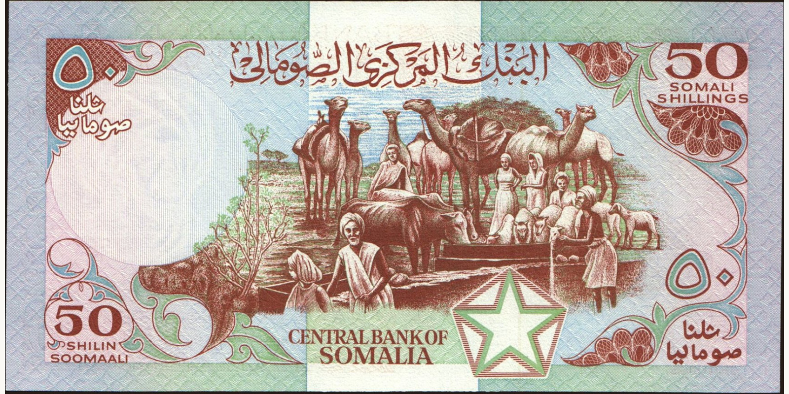 50 shilin Сомали 1989 — Оборотная сторона