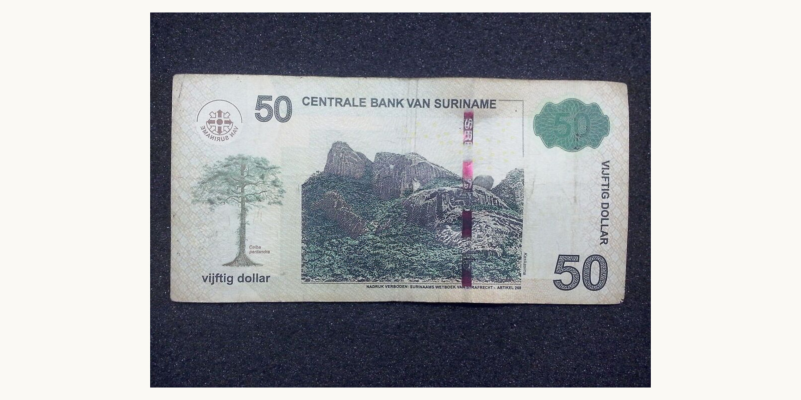 50 dollars Suriname 2010 — Back side